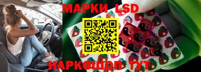 гидропоника Пенза