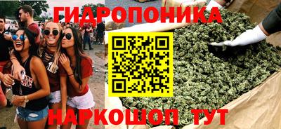 гидра Партизанск