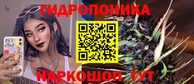 гидропоника Пенза