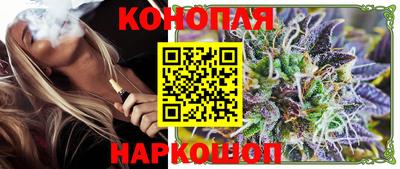 гидропоника Пенза