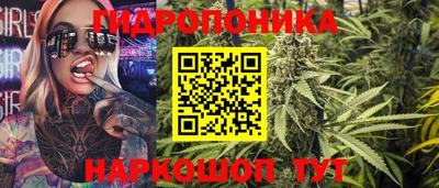 гидра Партизанск